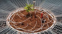 Climate-Controlled Chamber Installations Image 3