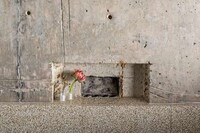 Brutalist Concrete Tower Apartments Image 3
