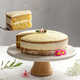 Olive Oil Cake Mixes Image 1