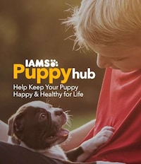 Comprehensive Educational Pet Resources Image 1