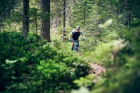 Discreet Electric Bike Motors Image 8