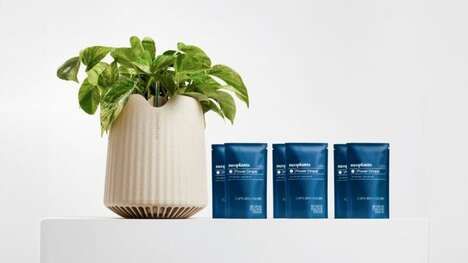 Plant-Powered Air Purifiers