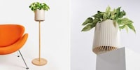 Plant-Powered Air Purifiers Image 2