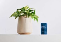 Plant-Powered Air Purifiers Image 4