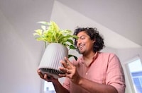 Plant-Powered Air Purifiers Image 7