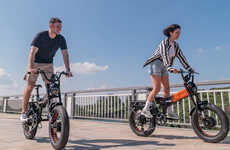 Dual-Motor Electric Bikes