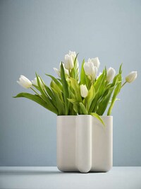 Connection-Inspired X-Shaped Vases Image 2