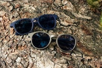 Collaborative Summertime Sunglasses Image 2