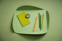 Leaf-Inspired Colorful Trays Image 2