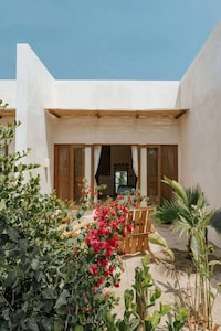 Vegetal Concrete Mexican Hotels Image 1