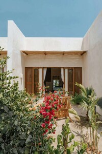 Vegetal Concrete Mexican Hotels
