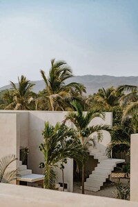 Vegetal Concrete Mexican Hotels Image 2
