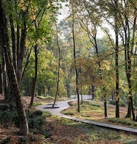 Graveyard-Transformed Public Parks Image 4