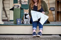 Pet Travel Concierge Services Image 1