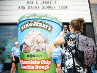 Non-Dairy Dessert Tours Image 4