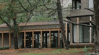 Grey Brick-Cladded Mexican Homes Image 1