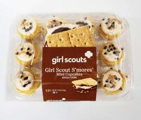 Iconic Mini Cupcake Flavors Image 3