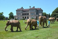 Outdoor Wildlife Exhibitions Image 1