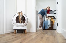 Low-Maintenance Litter Boxes