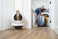 Low-Maintenance Litter Boxes Image 1