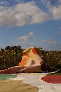 Floral-Inspired Home Rug Capsules Image 1