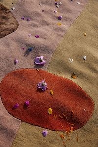 Floral-Inspired Home Rug Capsules Image 3
