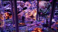 Immersive Space Exhibitions