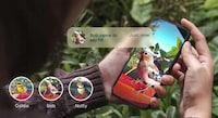 AI Bird Identifiers Image 1