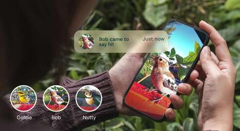 AI Bird Identifiers