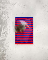 Repurposed Runway-Style Rugs Image 2