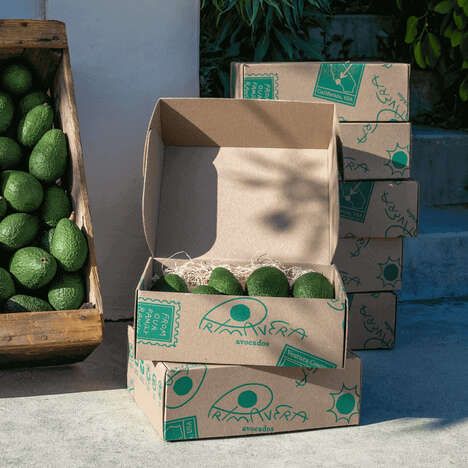 Farm-Fresh Avocado Subscriptions