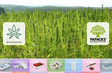 Biodegradable Hemp-Based Packagings