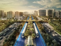 Tree-Lined Urban Highways Image 1