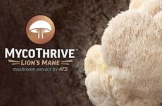 Enhanced Lion's Mane Products