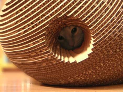 Multifunctional Cat Cocoons