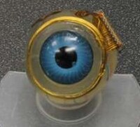 Eyeball Computer Chips