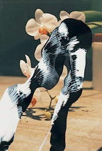 Painted Photography Image 2