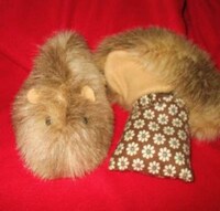 Comforting Rodent Invasions Image 2