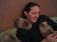 Comforting Rodent Invasions Image 3