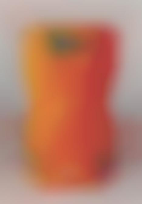 Geometric Chip Branding