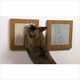 Panelized Feline Furniture Image 5