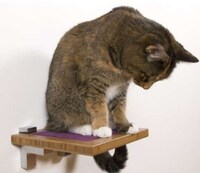 Panelized Feline Furniture Image 6