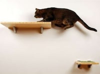 Panelized Feline Furniture Image 8