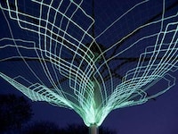 Latticework Tree Lights Image 7