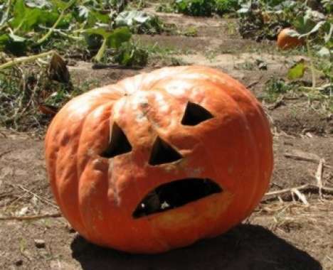 30 Pumpkinnovations