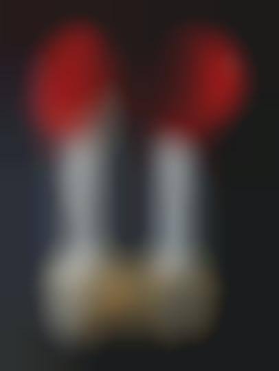 Phonograph Speakers