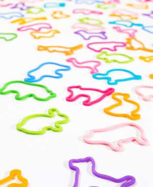 Elastic Pets