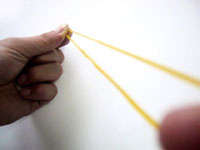 Elastic Pets Image 7