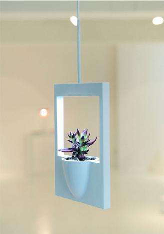 Picture-Framed Flowers