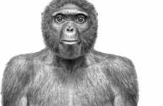 Missing Link Science